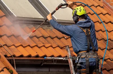 Démoussage et hydrofuge de toiture à Ganagobie